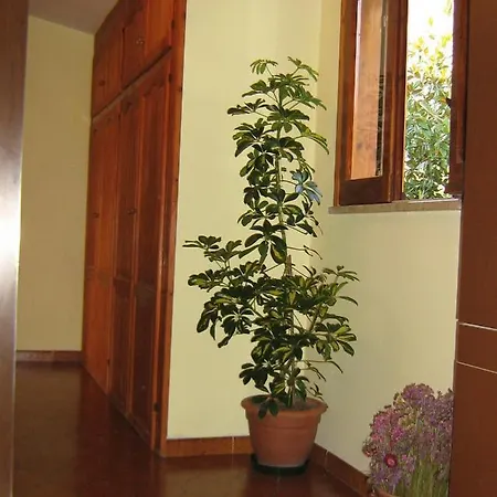 Bed & Breakfast Da Miranda
